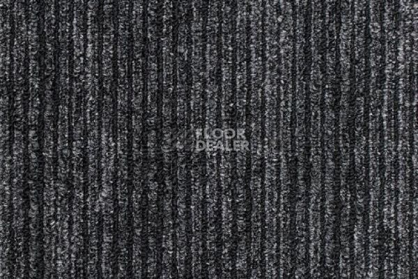 Ковровая плитка Shared Path на акустической основе ECHO ACOUSTIC 989 фото 1 | FLOORDEALER